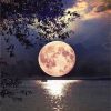Beautiful Full Moon on Lake Landscape Paint By Numbers