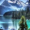 Mount Moran Lake Landscape Paint By Numbers