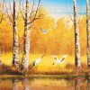 Birch Autumn Forest  Landscape Paint By Numbers