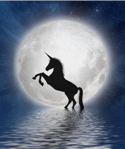 Unicorn Full Moon Animals Paint By Numbers