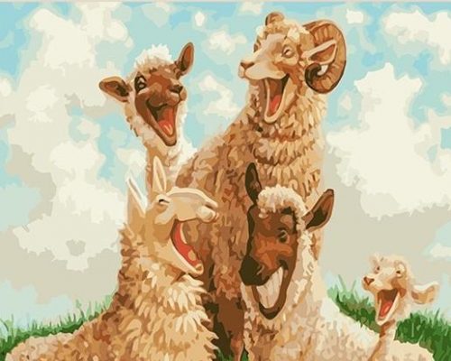 Funny Sheep paint by numbers