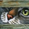 Cat Hiding Under Door Animals Paint By Numbers