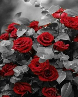 Red Roses With Grey Leaf paint by numbers