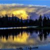 Trees Reflection On Lake paint by numbers