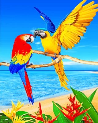 Colorful Parrots NEW Paint By Numbers