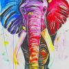 Colorful Elephant paint by numbers