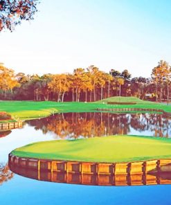 Sawgrass Golf Course paint by numbers