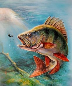 Largemouth Bass Fish Paint by numbers