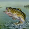 Largemouth Bass Fish Paint by numbers