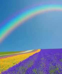 Rainbow In Lavender Field paint by numbers