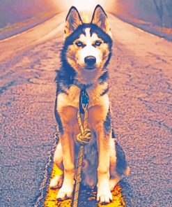 Siberian Husky In Road paint by numbers