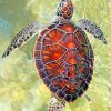 Ocean Turtle Paint by numbers