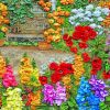 Colorful Flowers paint by numbers