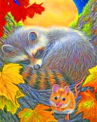 The Sleeping Raccoon paint by numbers