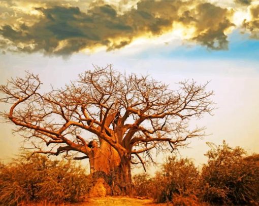 Oldest Baobab Tree Paint by numbers