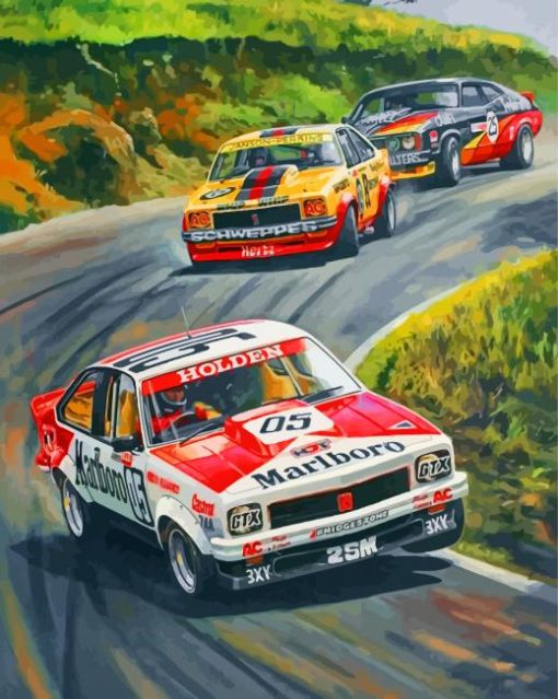 brock-s-bathurst-1979-paint-by-numbers