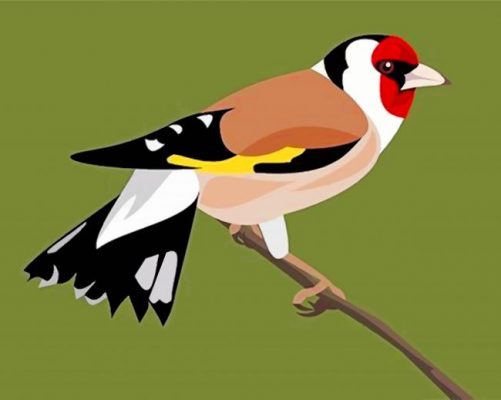 european-goldfinch-paint-by-number