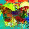 Abstract Splash Butterfly Paint by numbers