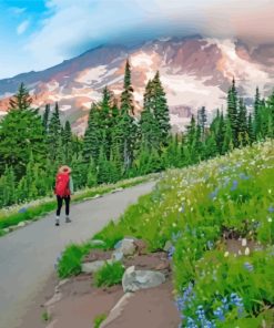 mount-rainier-national-park-paint-by-numbers