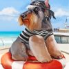 schnauzer-pirate-paint-by-numbers