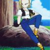 Android 18 Paint by numbers