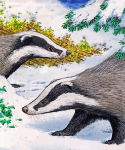 Badgers In Snow Paint by numbers