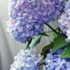 Happily-Hydrangea-DIY-Flowers-Paint-By-Numbers-PBN-5958-510x765-1