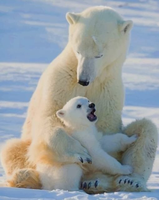 Mom-And-Baby-Polar-Bear-paint-by-numbers