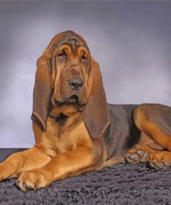 Bloodhound Dog Animal Paint by numbers