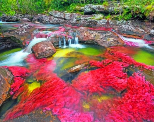 colombia-la-bella-paint-by-number