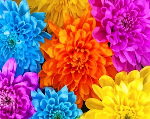 colorful-chrysanthemum-paint-by-numbers