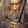 Gandalf Lord Of The Rings Paint by numbers