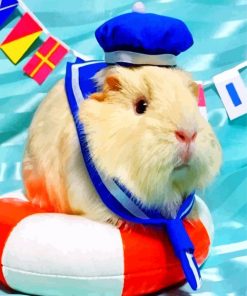 guinea-pig-sailor-paint-by-numbers