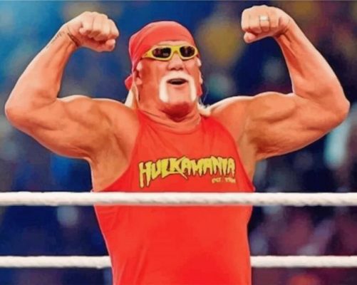 hulk-hogan-paint-by-numbers