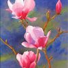 pink-magnolia-paint-by-numbers