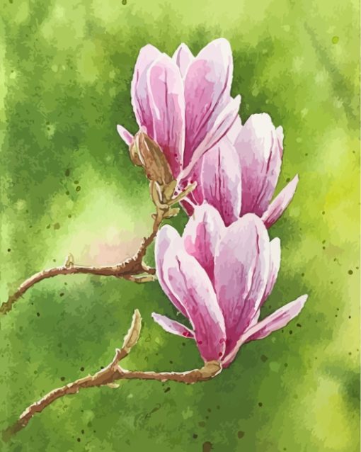 pink-magnolias-paint-by-numbers