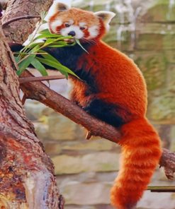 red-panda-on-tree-paint-by-numbers