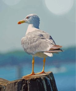 white-seagull-paint-by-numbers