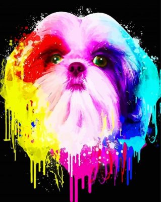 Abstract Colorful Shih Tzu Paint By Numbers