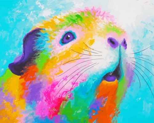 Abstract Guinea Pig Paint By Numbers