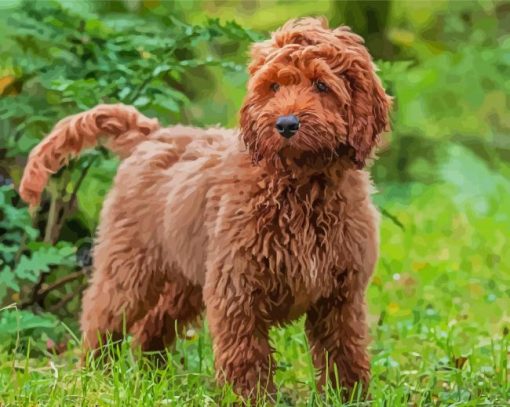 Aesthetic Brown Cockapoo Paint By Numbers