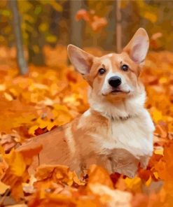 Aesthetic Dog In Autumn Paint By Numbers