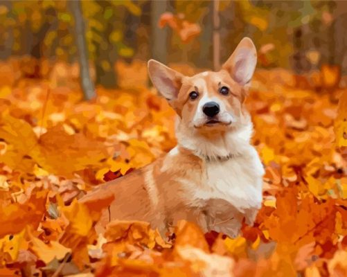 Aesthetic Dog In Autumn Paint By Numbers