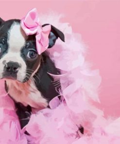 Aesthetic Female Boston Terrier Paint By Numbers