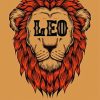 Aesthetic Leo Horoscope Paint By Numbers