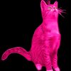 Aesthetic Pink Cat Paint By Numbers