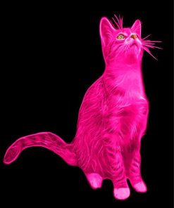 Aesthetic Pink Cat Paint By Numbers