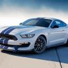 Aesthetic Shelby Gt 350 Paint By Numbers