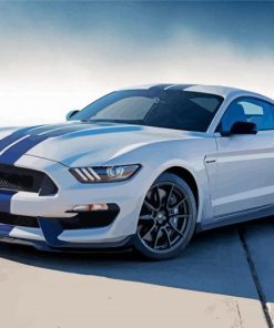 Aesthetic Shelby Gt 350 Paint By Numbers