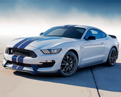 Aesthetic Shelby Gt 350 Paint By Numbers